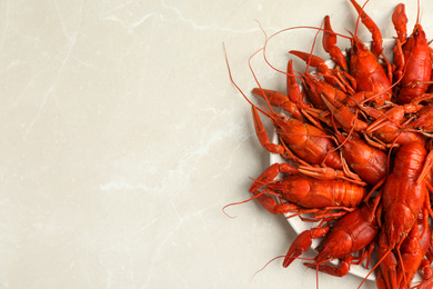 Delicious boiled crayfishes on light grey marble table, top view. Space for text