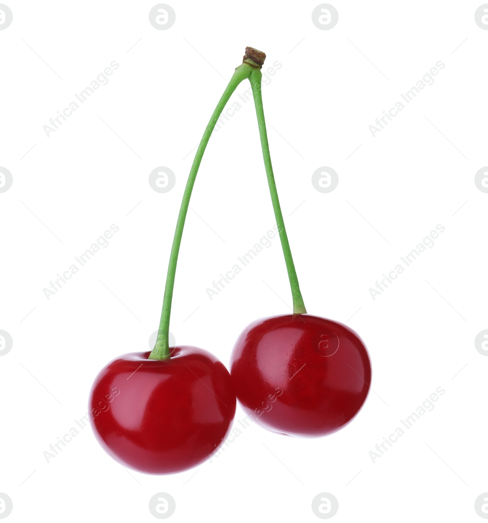 Photo of Delicious ripe sweet cherries isolated on white