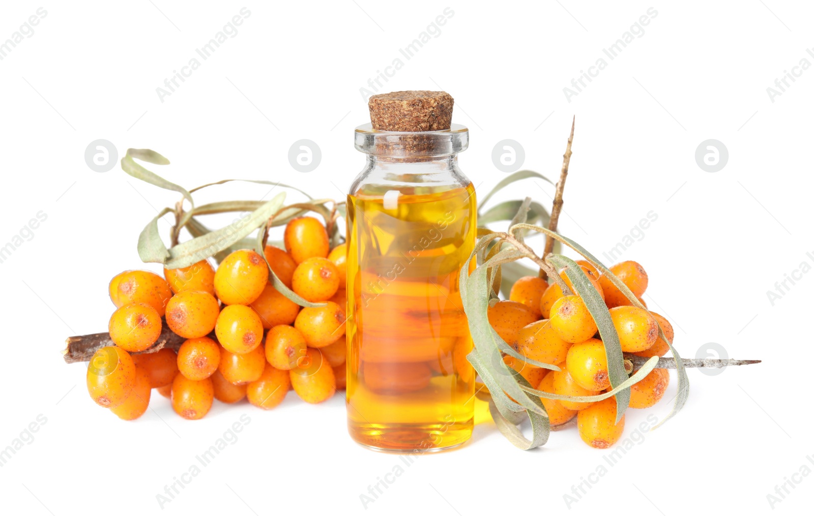 Photo of Natural sea buckthorn oil and fresh berries on white background