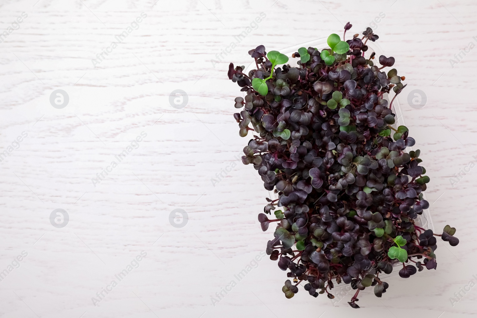 Photo of Fresh organic microgreen on white wooden table, top view. Space for text