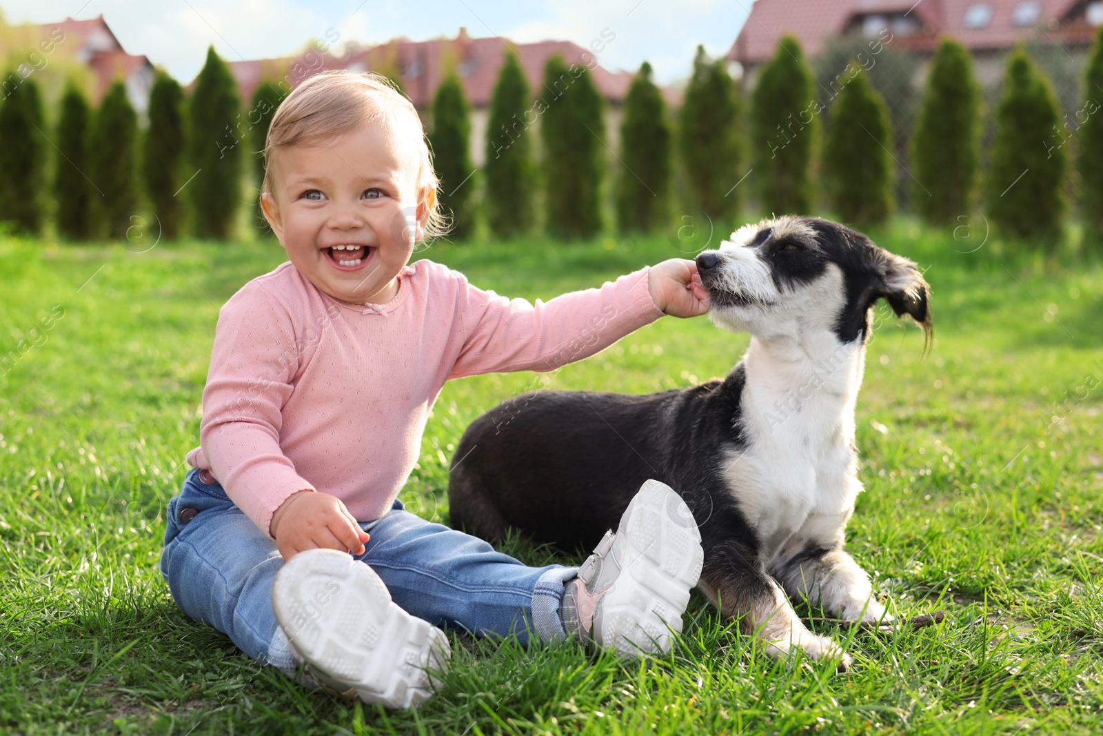 Photo of Adorable baby and furry little dog on green grass outdoors