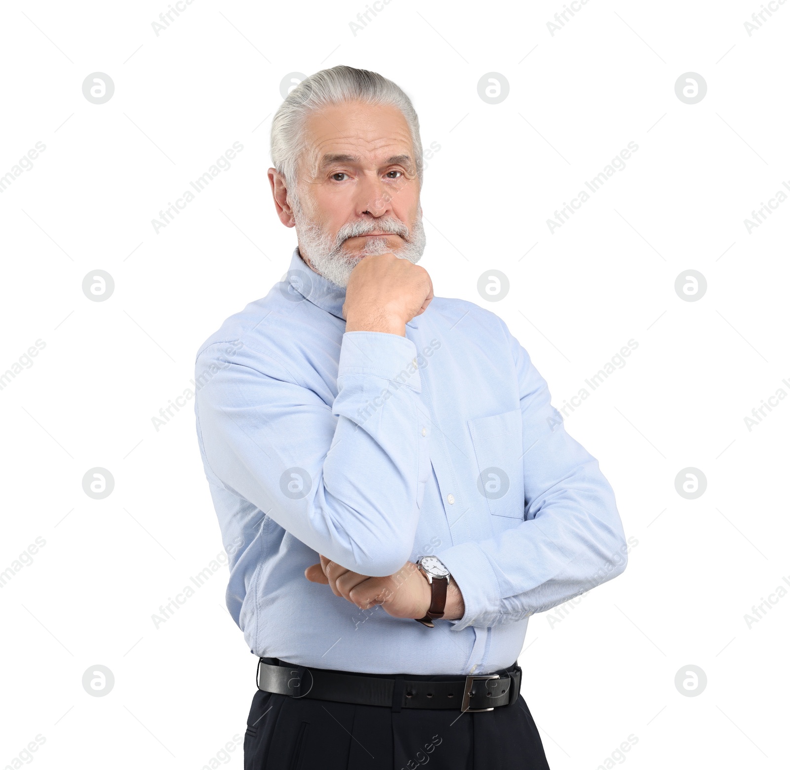 Image of Portrait of handsome senior man isolated on white