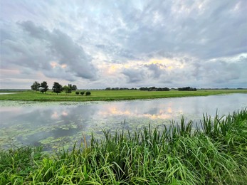 Photo of Picturesque view of river reeds and cloudy sky