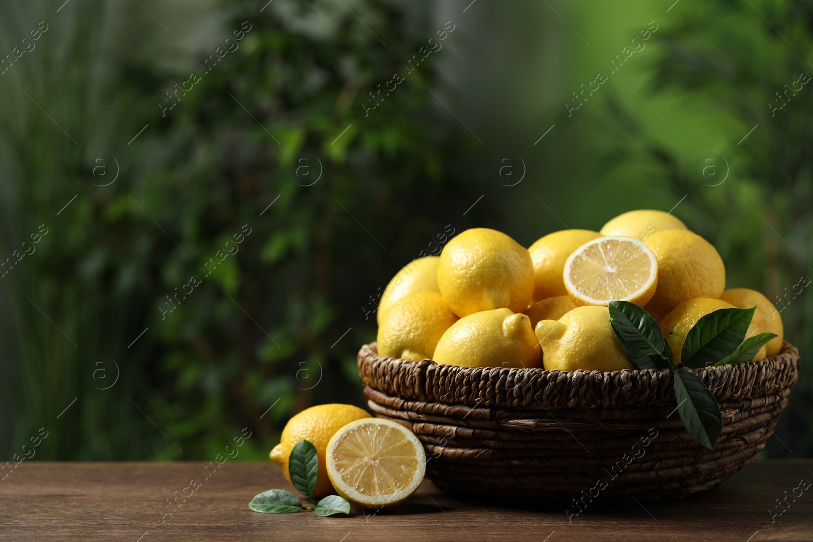 Photo of Fresh lemons in wicker basket on wooden table. Space for text