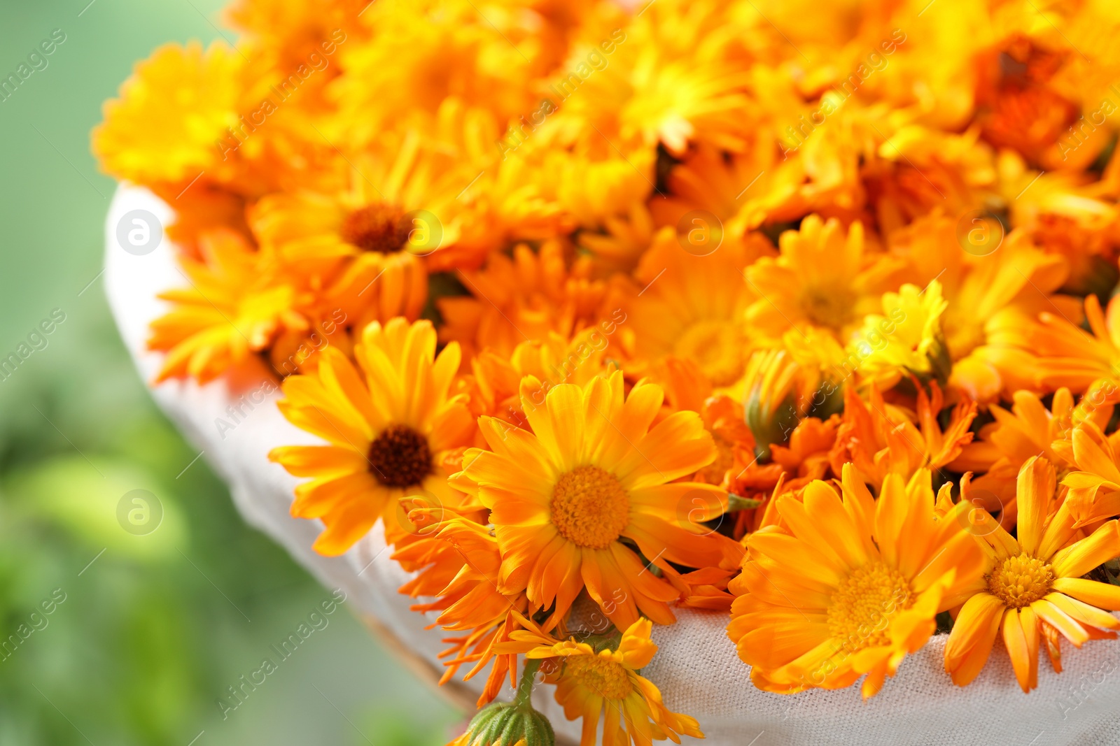 Photo of Beautiful fresh calendula flowers on blurred green background, closeup