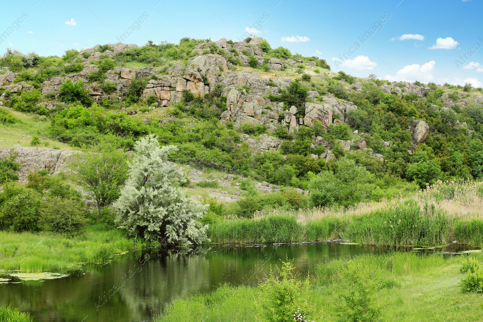 Photo of Beautiful landscape with beautiful pond and rocky hill. Camping season