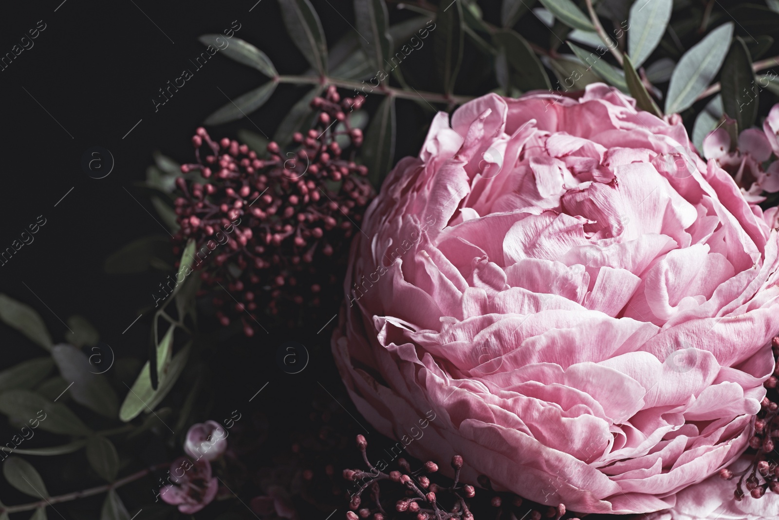 Photo of Bouquet of beautiful flowers on black background, closeup. Floral card design with dark vintage effect