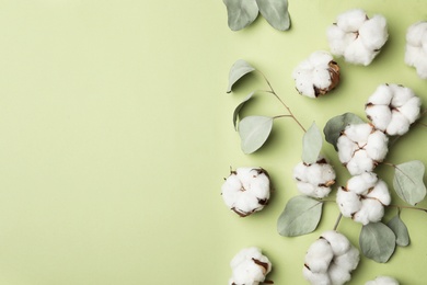 Photo of Flat lay composition with cotton flowers on green background. Space for text