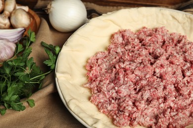 Raw dough and ingredients on napkin, closeup. Baking meat pie
