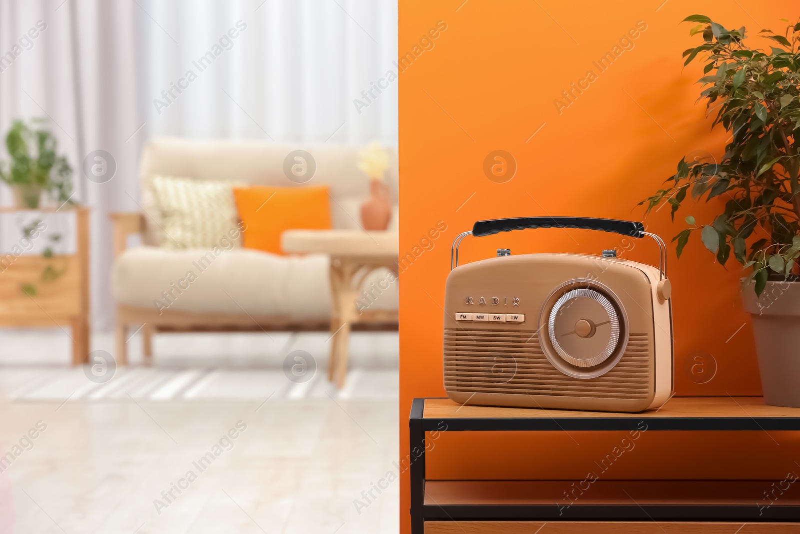 Photo of Retro radio receiver and houseplant on console table in stylish hallway, space for text. Interior design