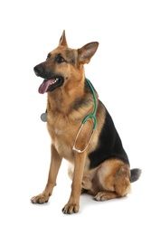 Cute dog with stethoscope as veterinarian on white background