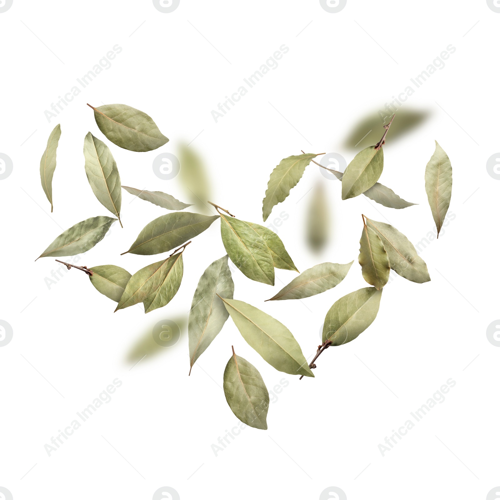 Image of Dry bay leaves falling on white background