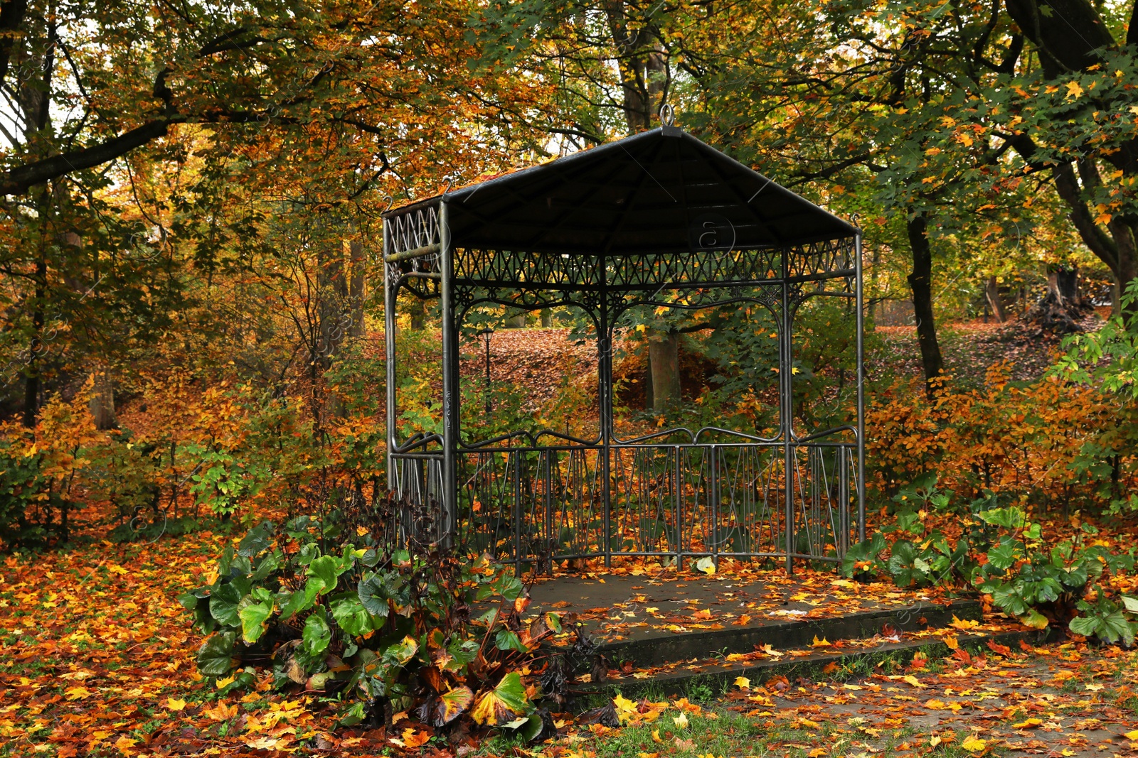 Photo of Black metal gazebo and yellowed trees in park