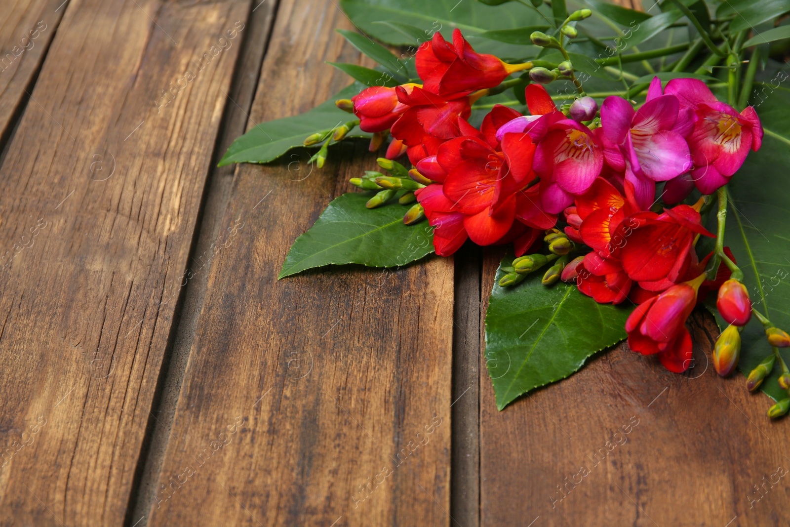 Photo of Beautiful freesia bouquet on wooden background