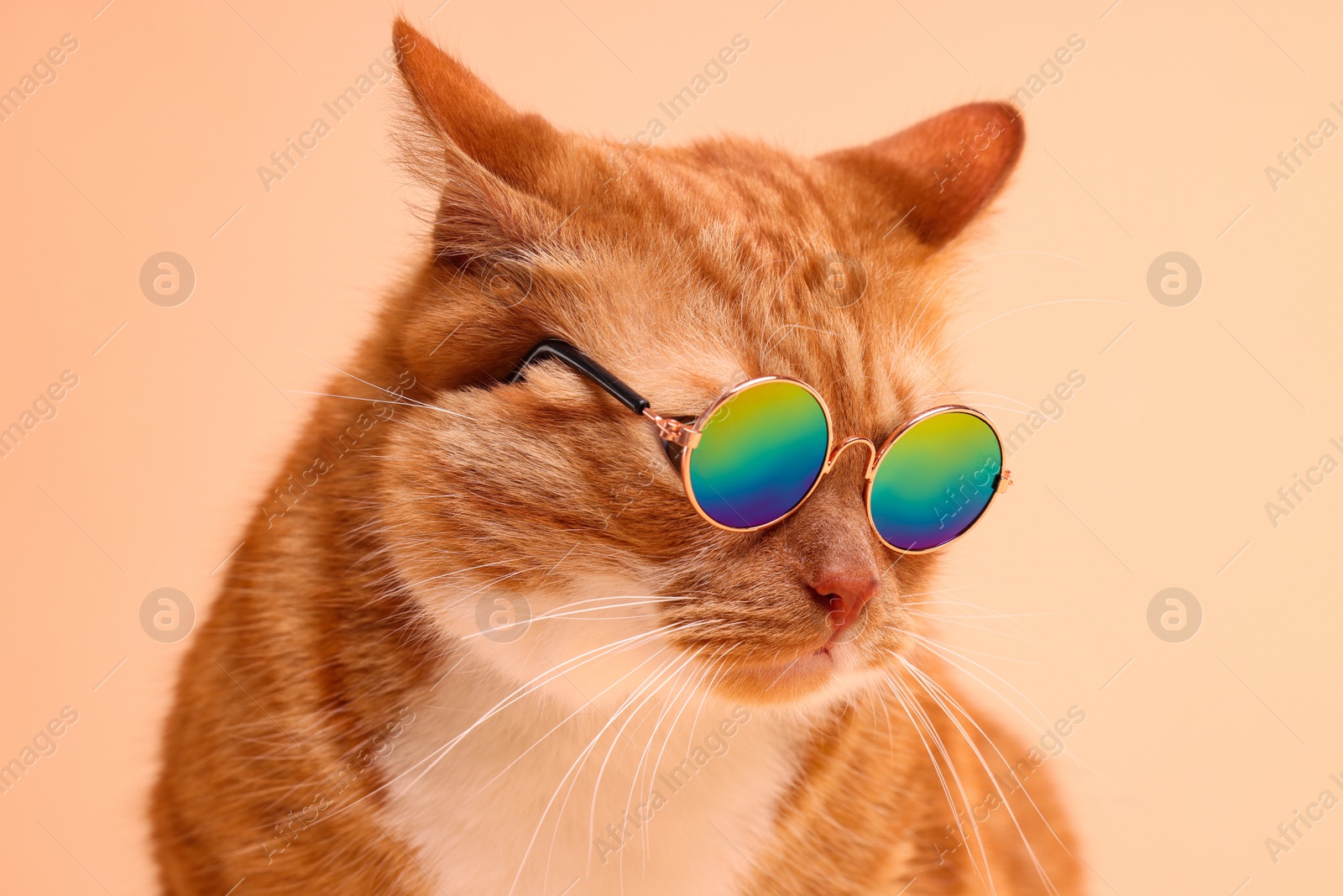 Photo of Portrait of cute ginger cat in stylish sunglasses on beige background, closeup