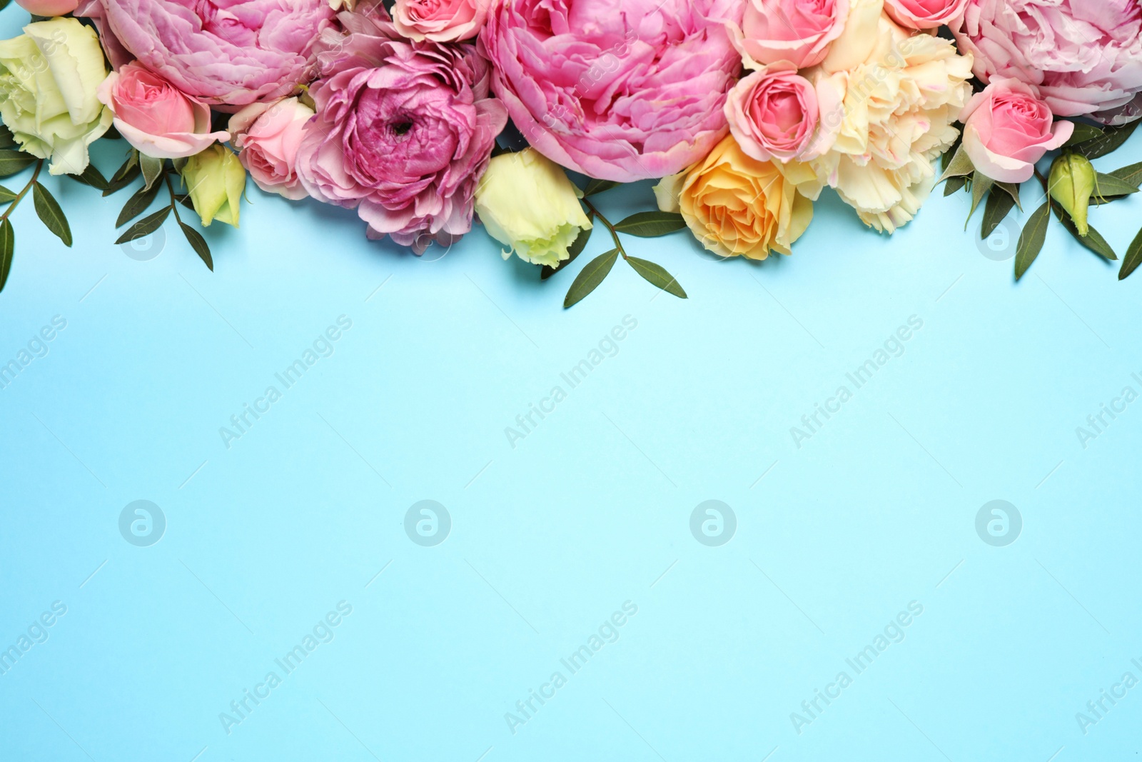 Photo of Flat lay composition with beautiful flowers and space for text on light blue background. Floral card design