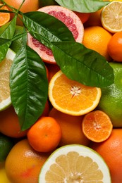 Photo of Different ripe citrus fruits with green leaves as background, top view