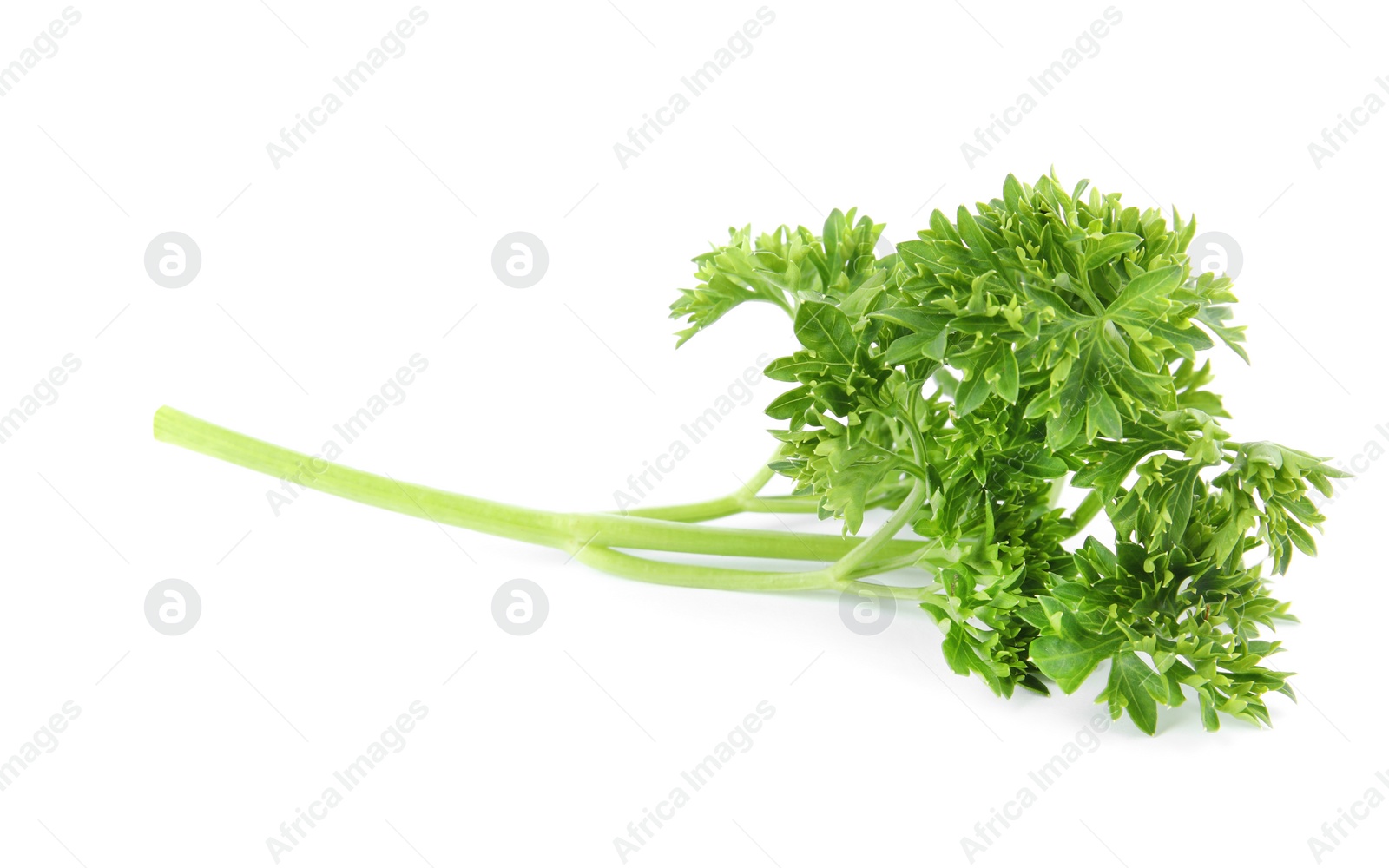 Photo of Fresh green organic parsley on white background