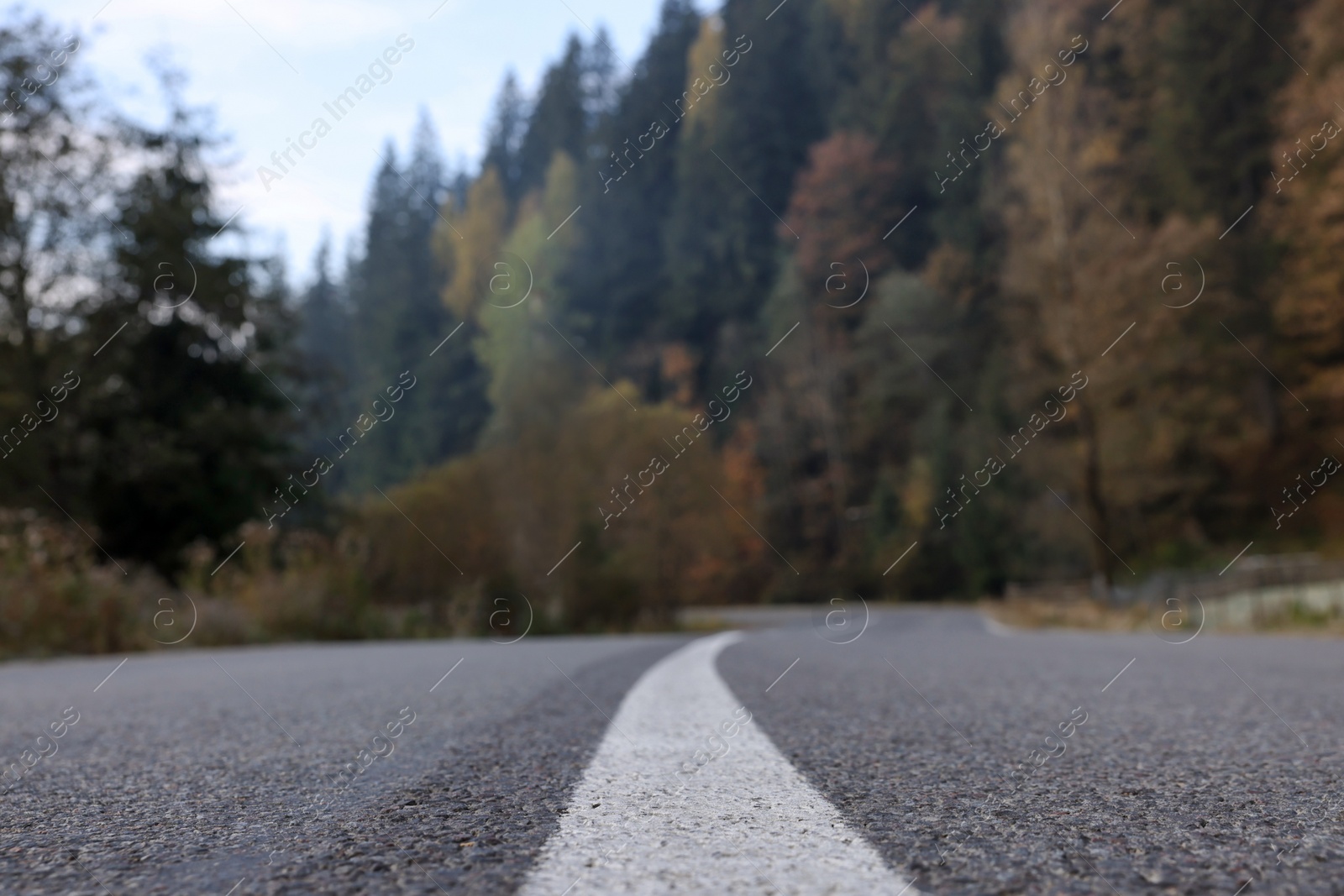 Photo of Beautiful view of asphalt highway without transport near coniferous forest. Autumn season