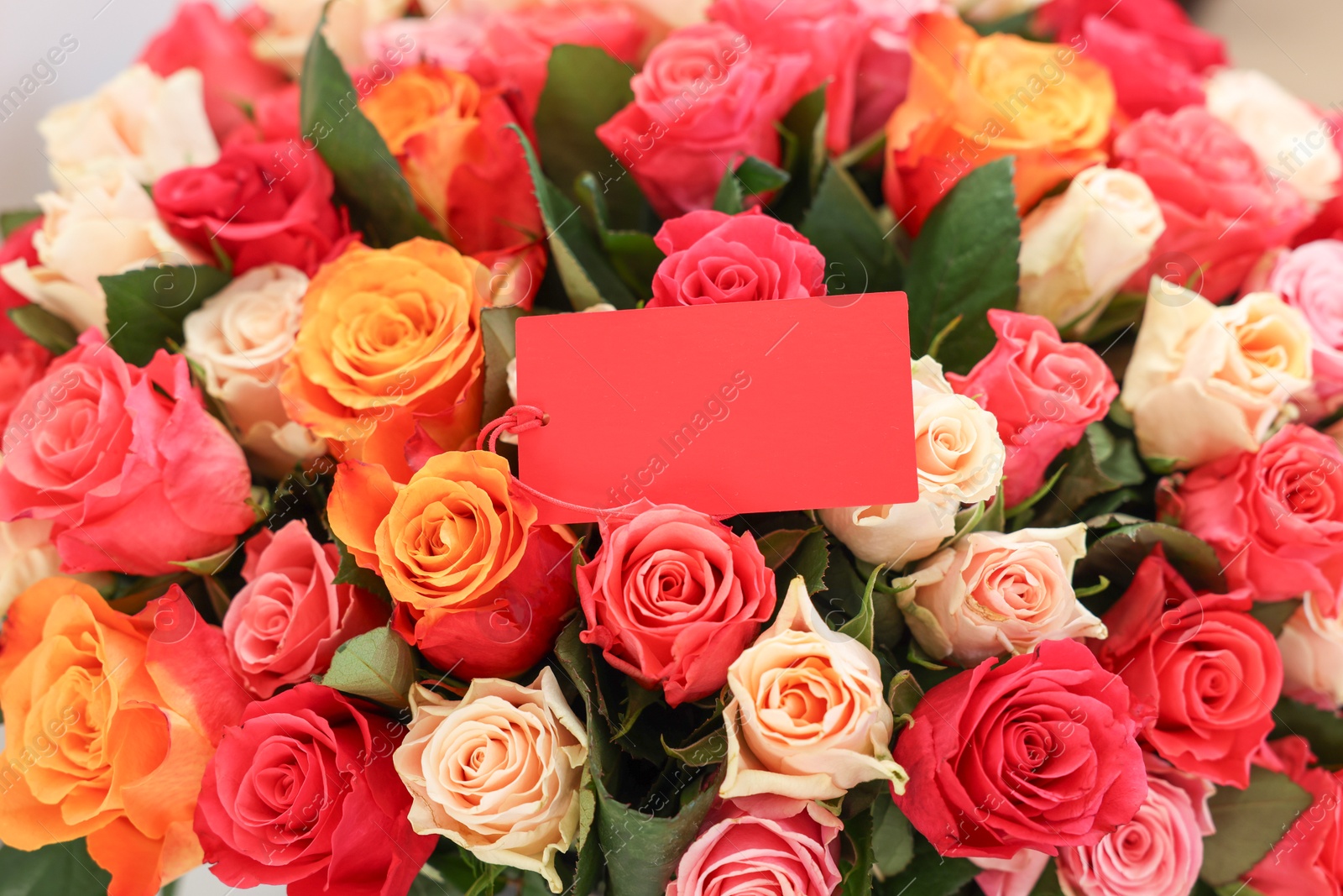 Photo of Bouquet of beautiful roses with blank card, closeup