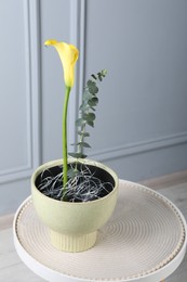 Stylish ikebana as house decor. Beautiful fresh calla flower and eucalyptus branch on table near white wall, space for text