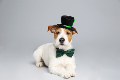 Photo of Jack Russell terrier with leprechaun hat and bow tie on light grey background. St. Patrick's Day