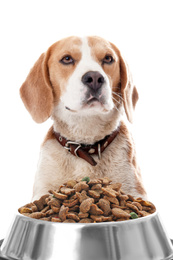 Image of Cute Beagle dog and feeding bowl on white background