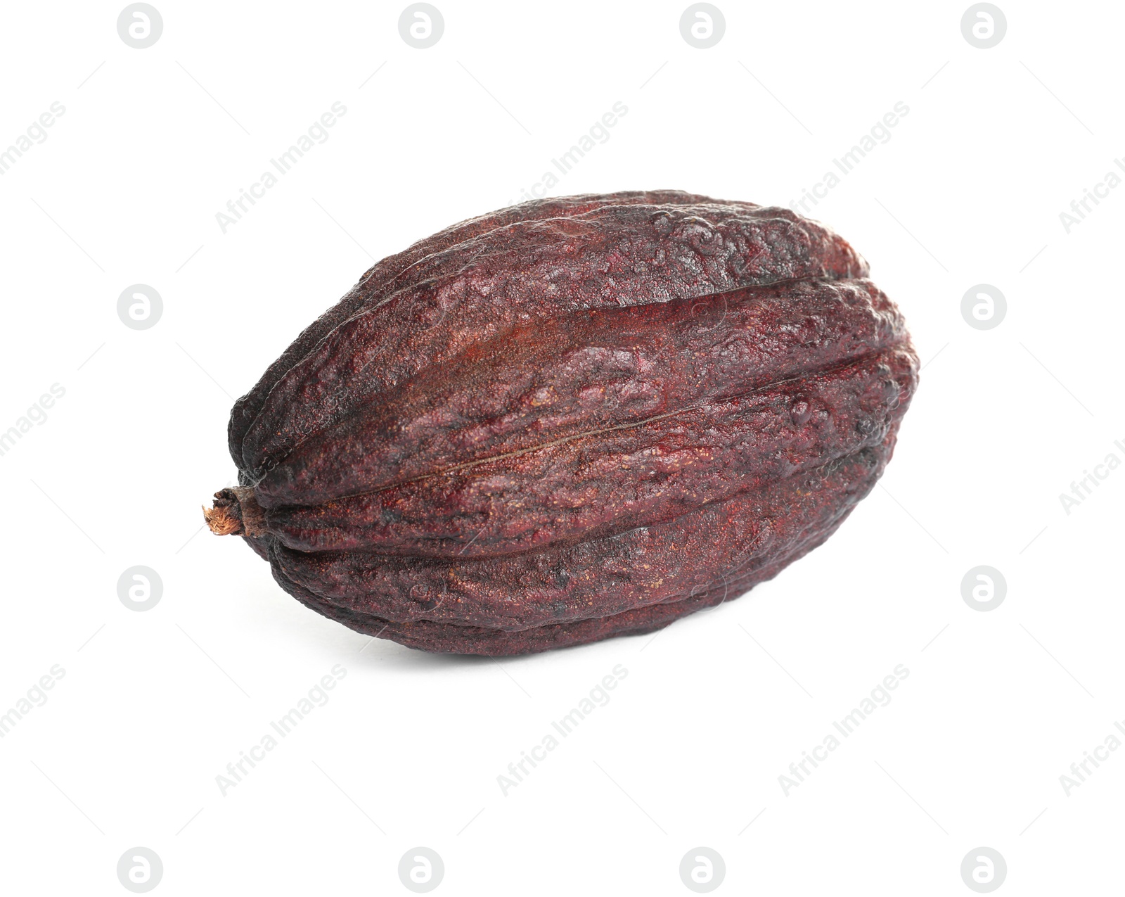 Photo of Whole tropical cocoa pod isolated on white