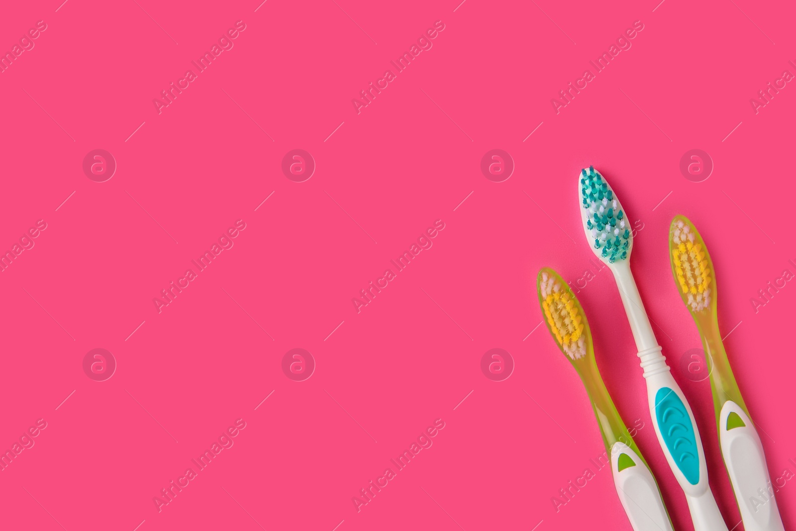 Photo of Toothbrushes on pink background, flat lay. Space for text