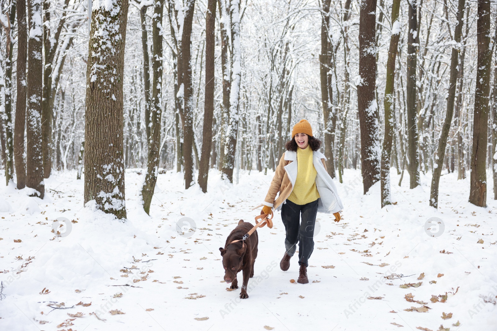 Photo of Woman with adorable Labrador Retriever dog running in snowy park