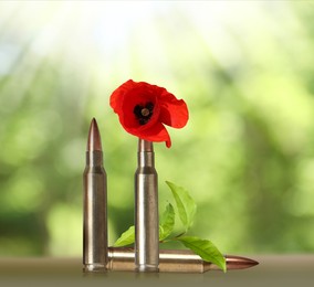 Image of Beautiful blooming poppy flower and bullets outdoors on sunny day. Peace instead of war