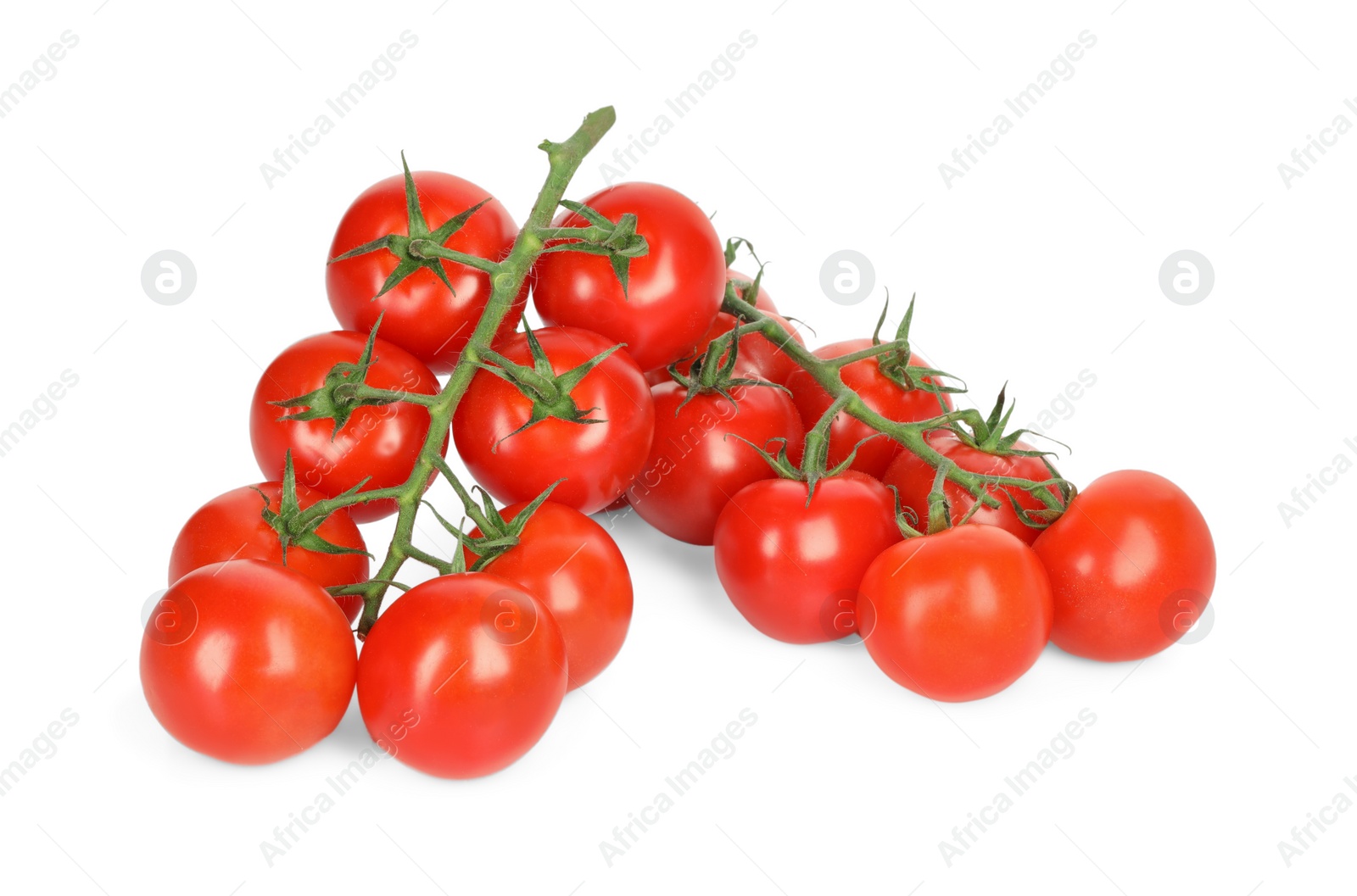 Photo of Branches of red ripe cherry tomatoes isolated on white