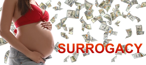 Image of Surrogacy concept. Closeup view of young pregnant woman and flying money on white background, banner design