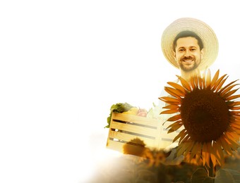 Image of Double exposure of farmer and sunflower field on white background