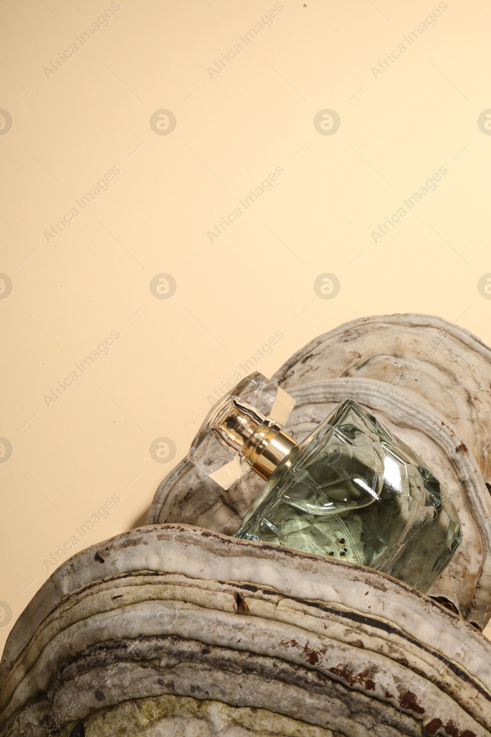 Photo of Luxury perfume in bottle on textured surface against beige background