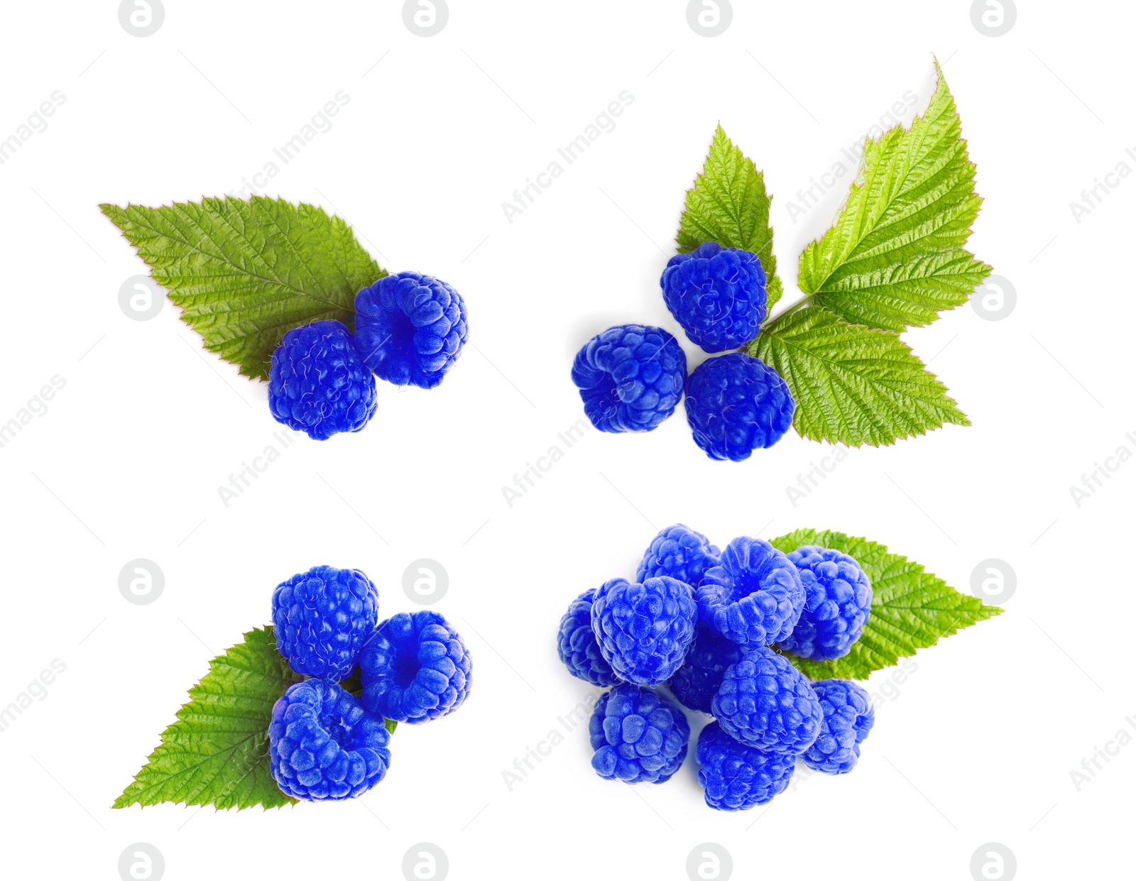 Image of Set with fresh tasty blue raspberries on white background