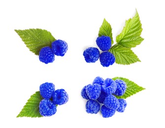 Image of Set with fresh tasty blue raspberries on white background