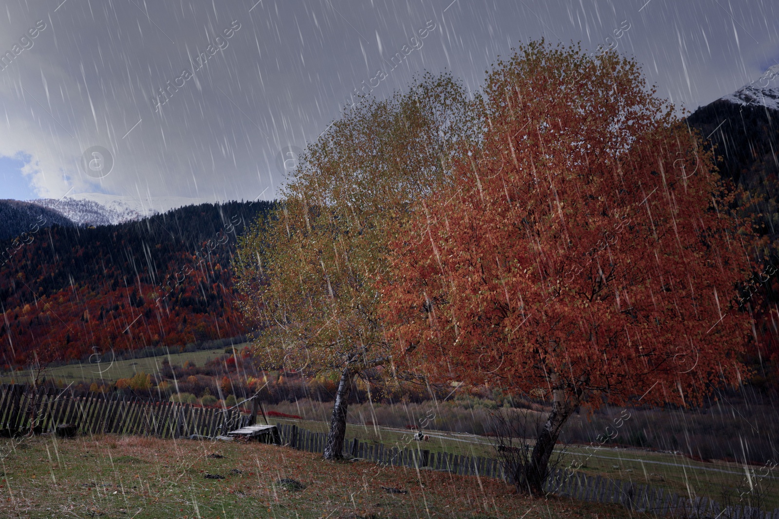 Image of Picturesque view of autumn trees and mountains on rainy day