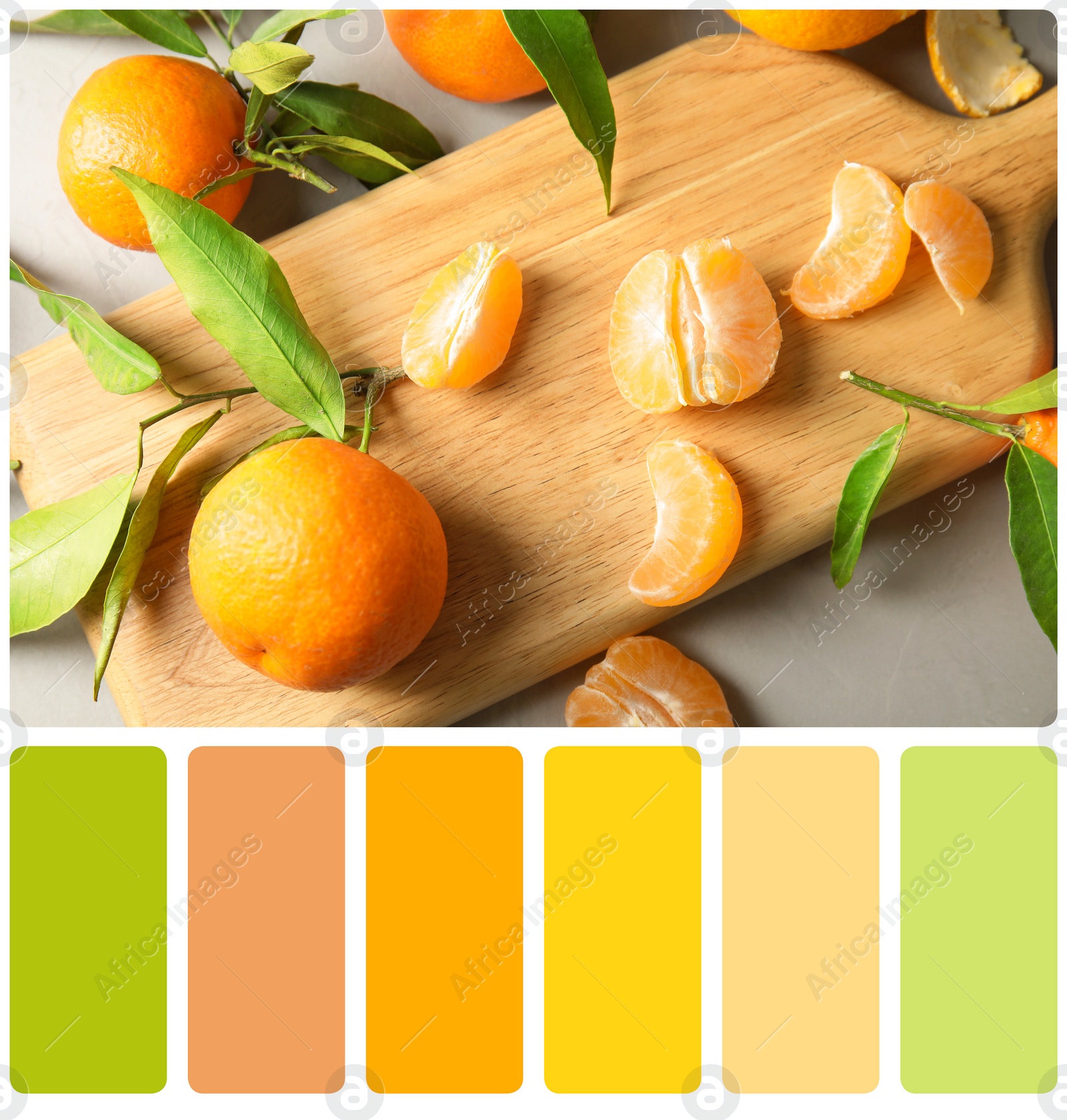 Image of Color matching palette. Flat lay composition with ripe tangerines on grey background