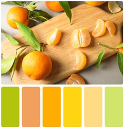 Image of Color matching palette. Flat lay composition with ripe tangerines on grey background