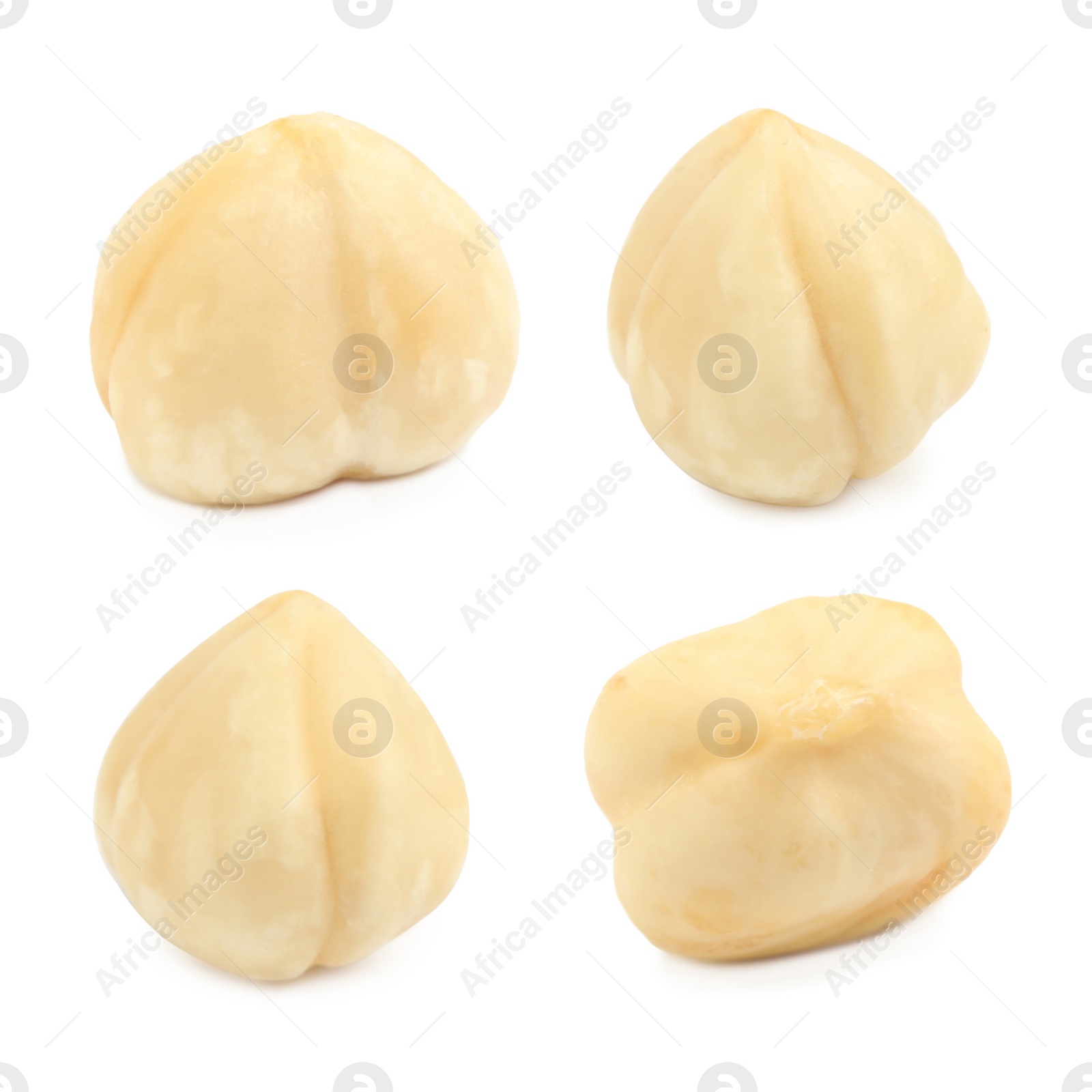 Image of Set with tasty hazelnuts on white background 