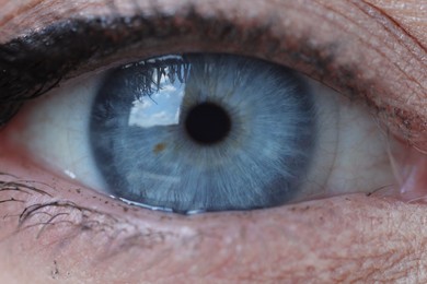 Macro photo of woman with beautiful blue eyes
