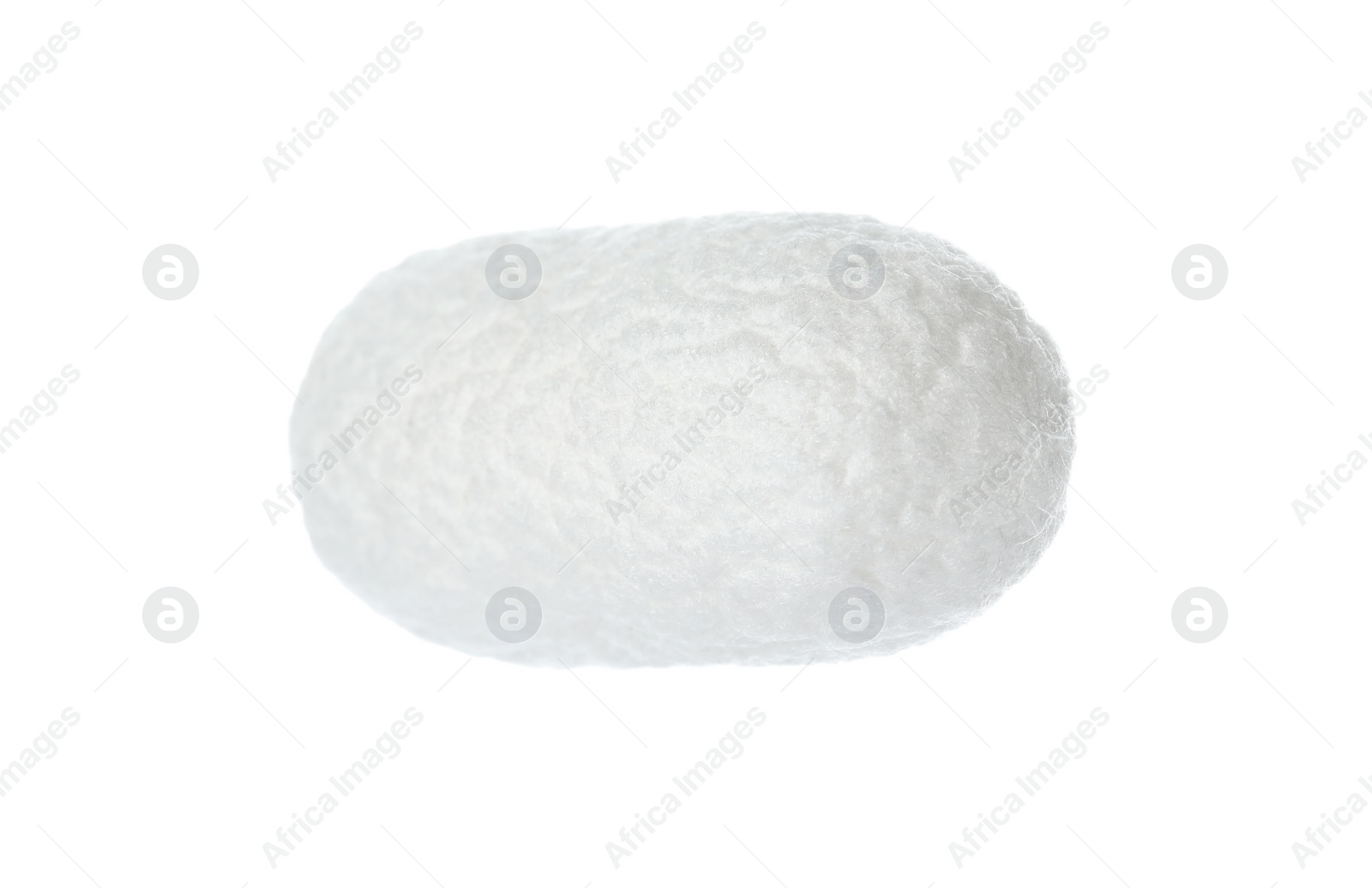 Photo of Beautiful natural silkworm cocoon isolated on white