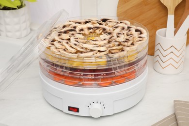 Modern dehydrator machine with vegetables in kitchen