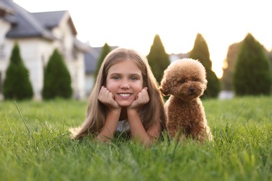 Photo of Beautiful girl with cute Maltipoo dog on green lawn in backyard