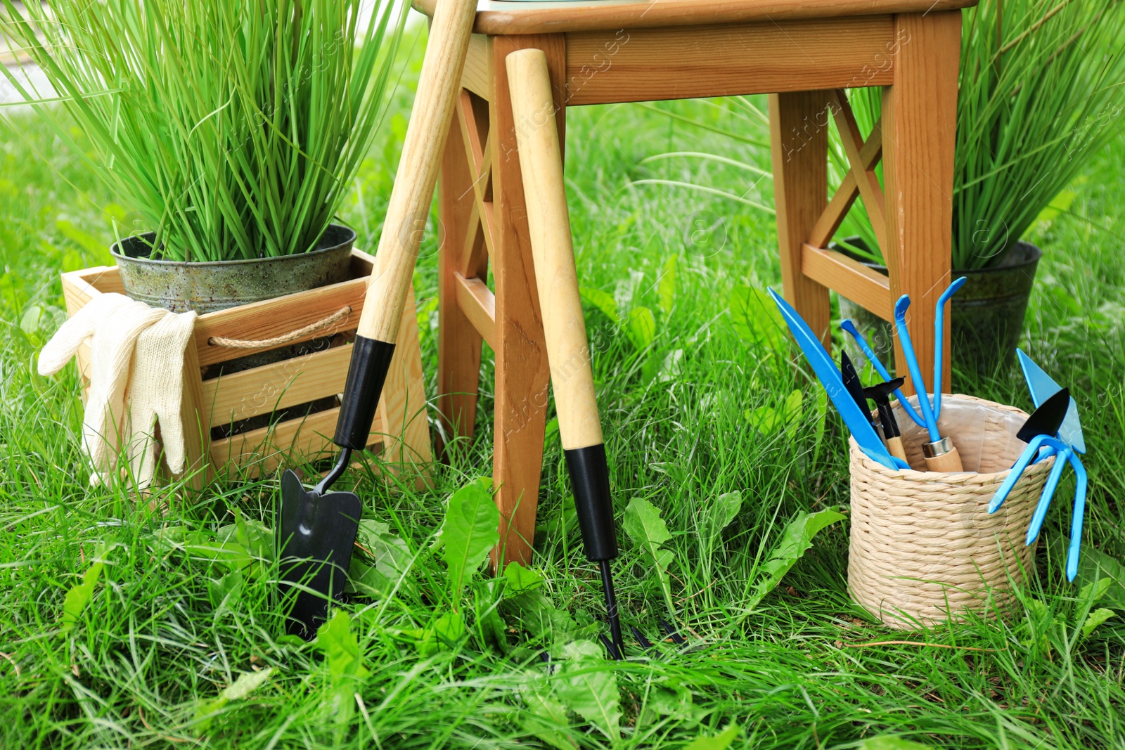 Photo of Composition with gardening tools on green grass