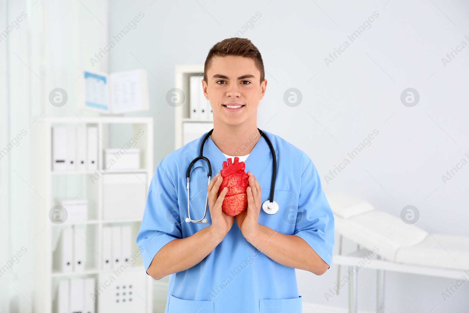 Photo of Young medical assistant with heart model in clinic