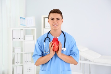 Young medical assistant with heart model in clinic