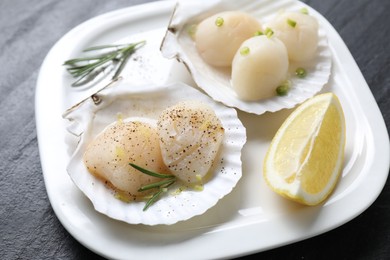 Photo of Raw scallops with green onion, rosemary, lemon and shells on dark textured table, closeup