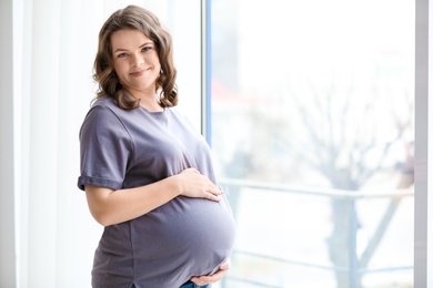 Young pregnant woman near window at home